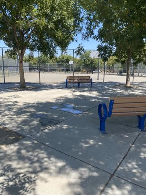 Todd Beamer Dog Park photo 1